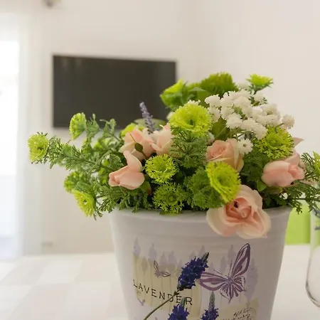 Apartamento Oleander Split