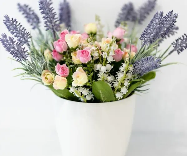 Oleander 스플리트