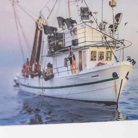 Oleander * 스플리트