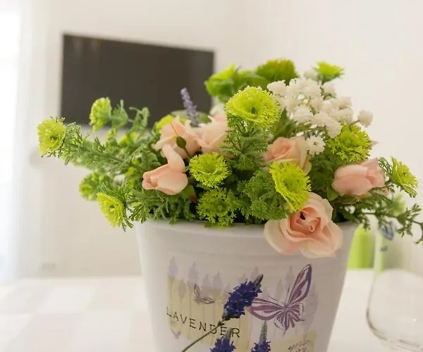 Oleander Apartament Split