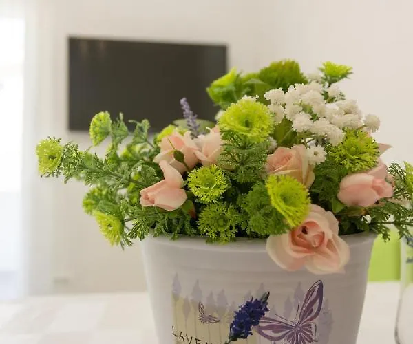 Apartament Oleander Split