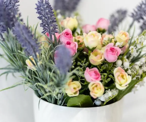 Apartament Oleander Split